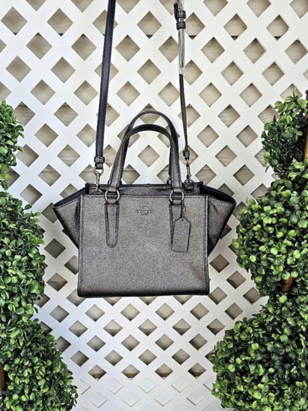Coach 33848 In Metallic